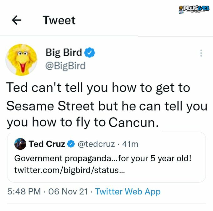 imagine getting owned by big bird