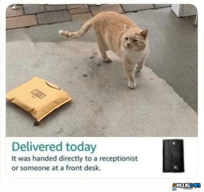 Staff stealing deliveries