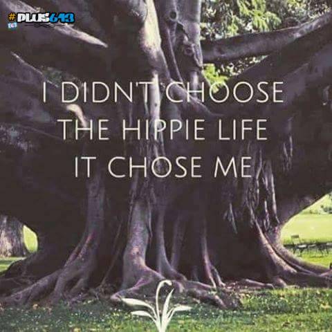 Hippie Life