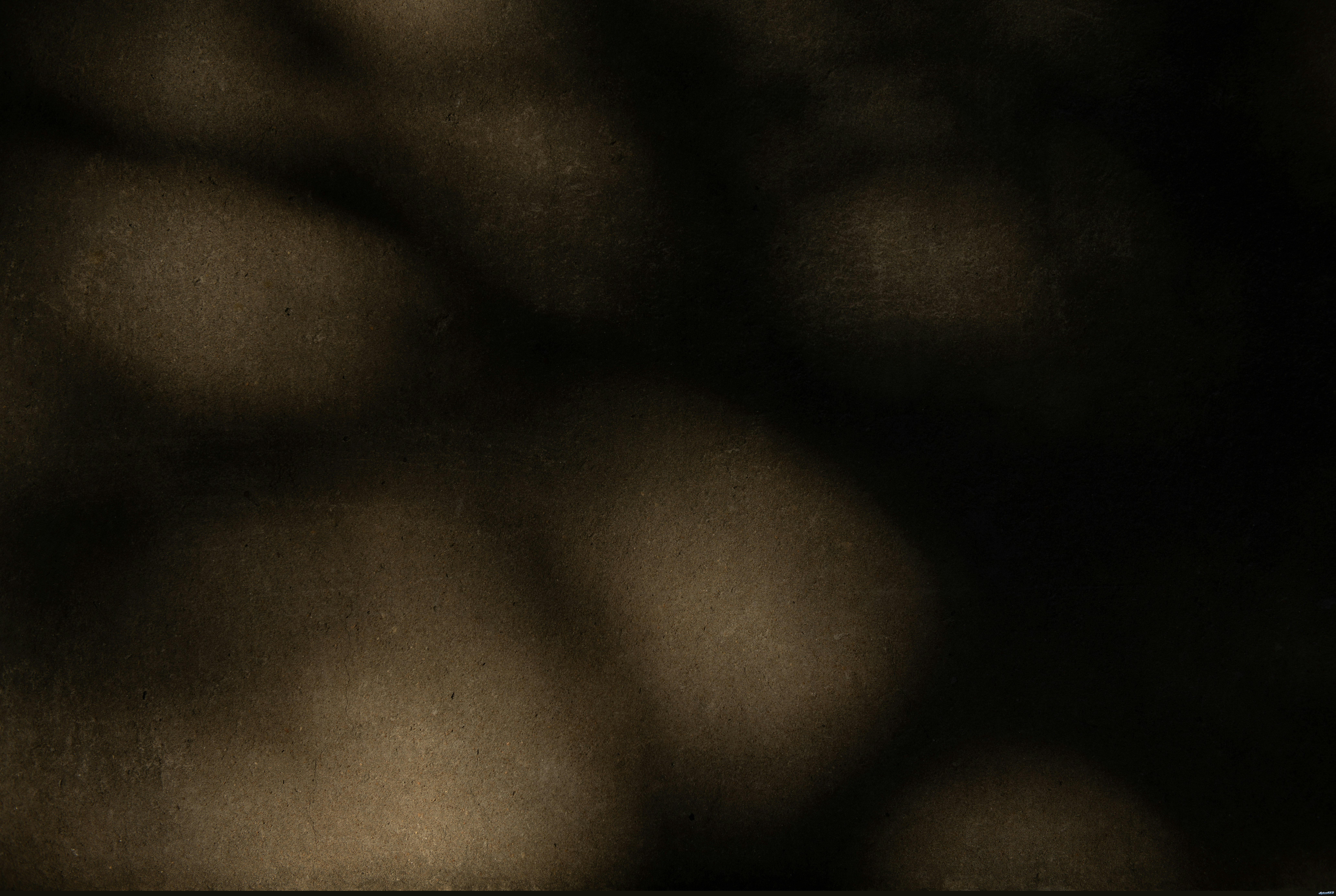 a black and white photo of a tree by Tim Mossholder