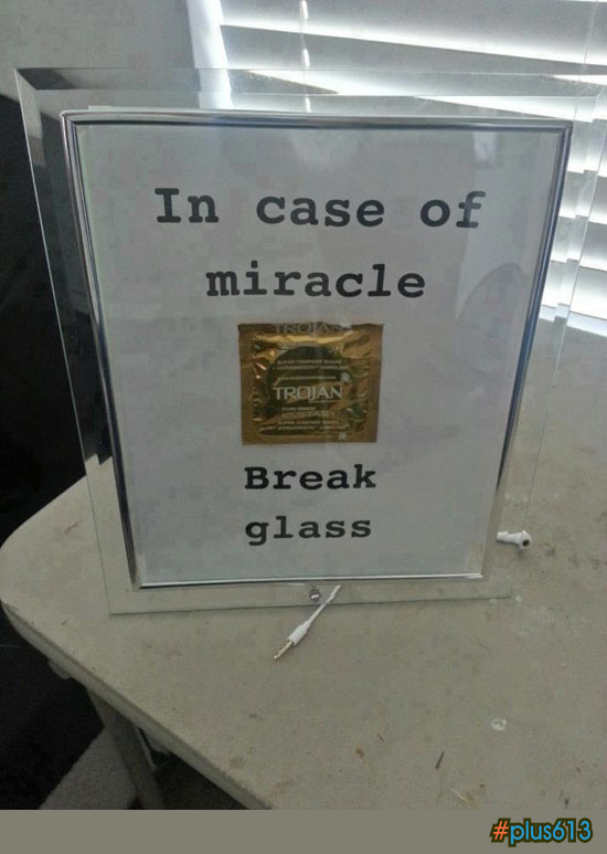Praise the lord