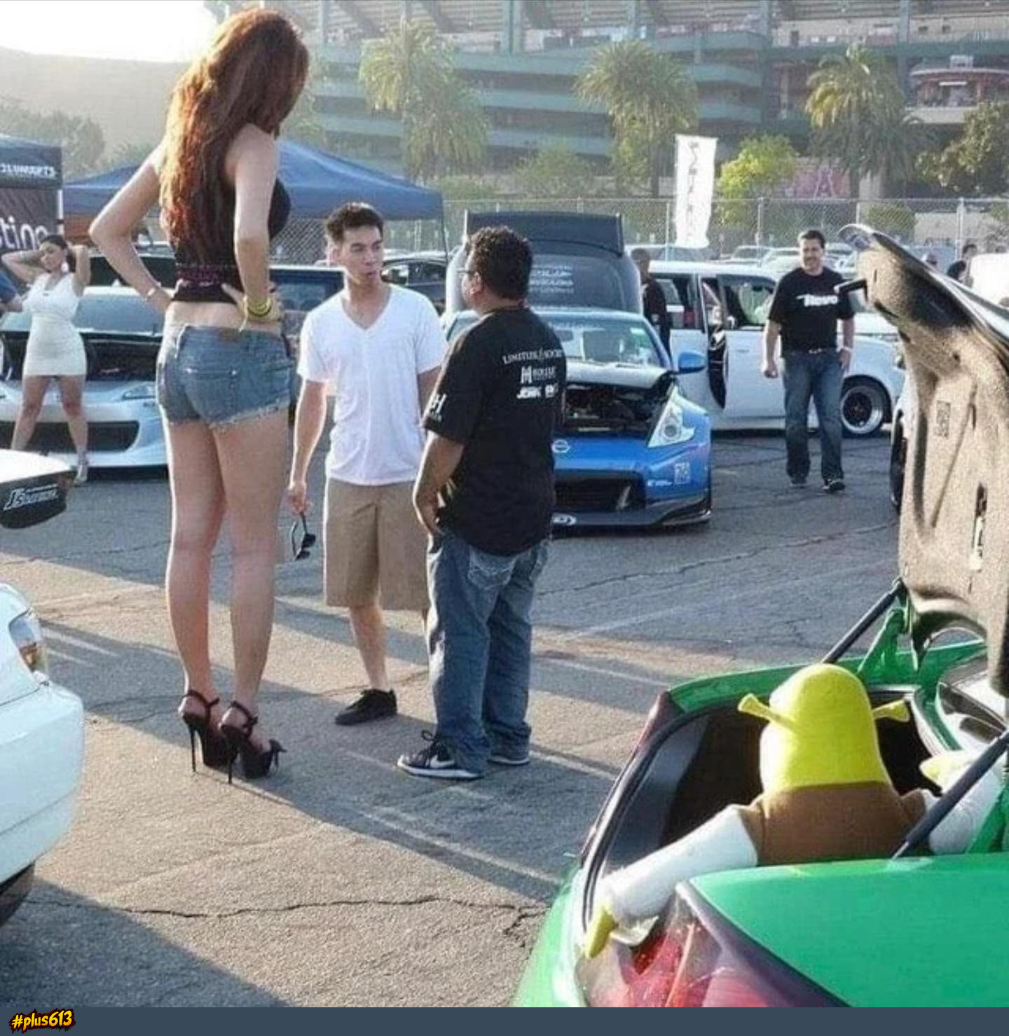 Shrek gonna help get freaky