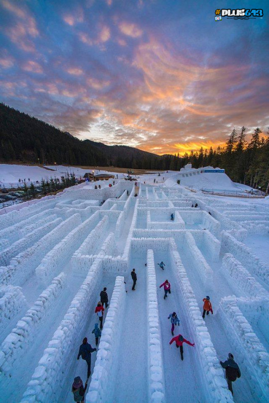 Ice Maze