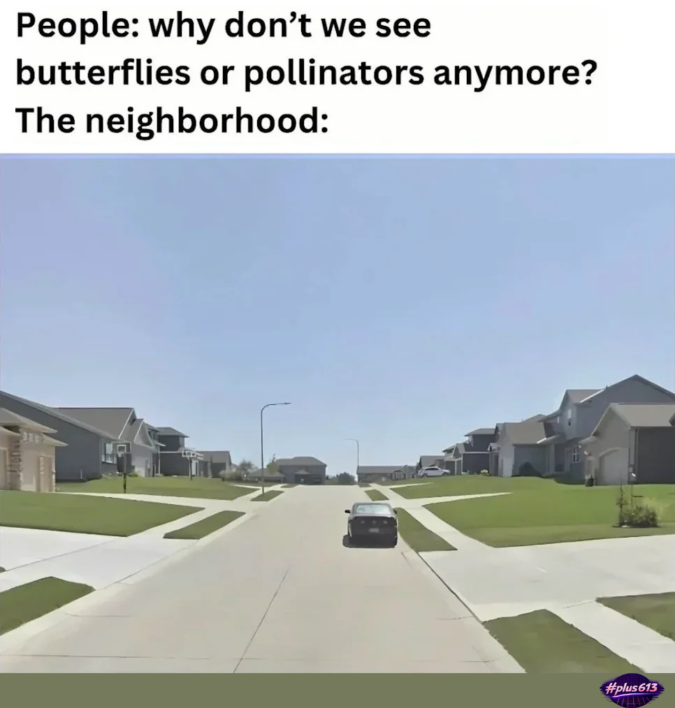If only there was a reason 