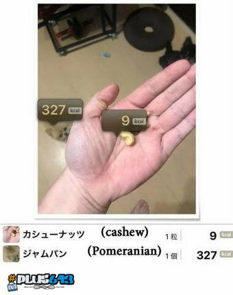 augmented reality - Asian programmers