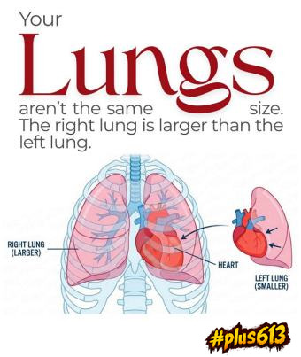 That is not where your heart sits