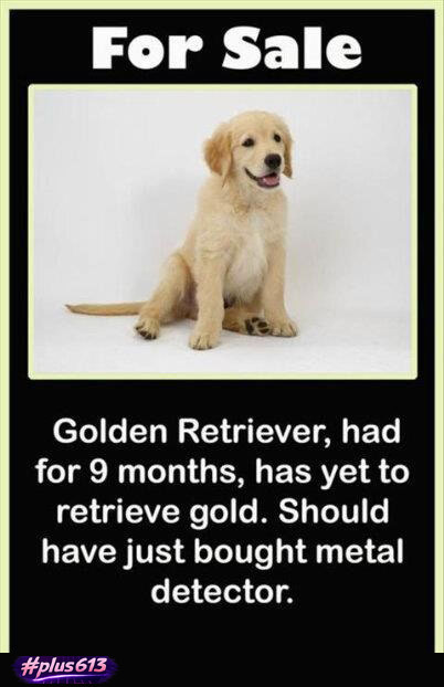 Terrible investment