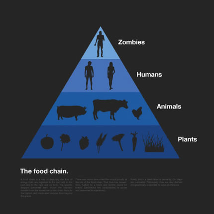 the real food chain
