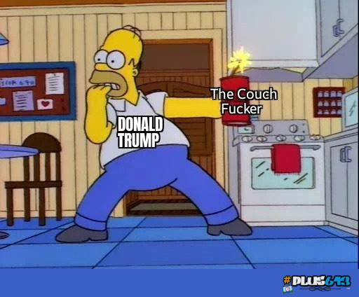 stupid sexy couches