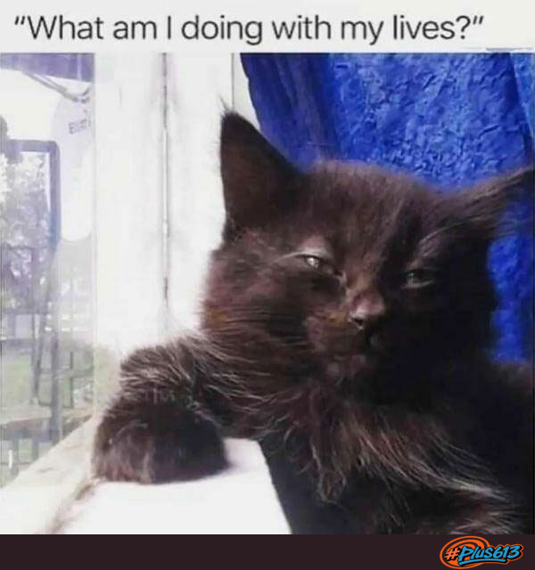 Wasting them. Lives well lived.