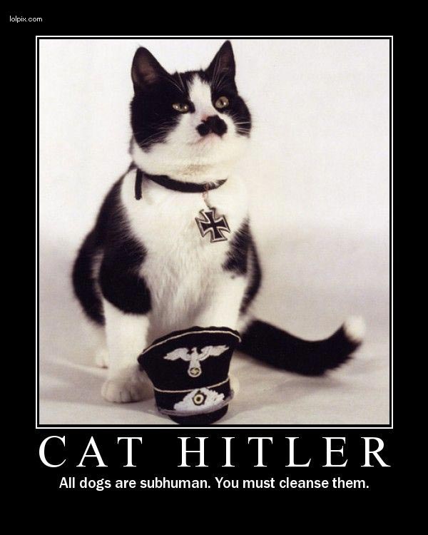 CAT HITLER