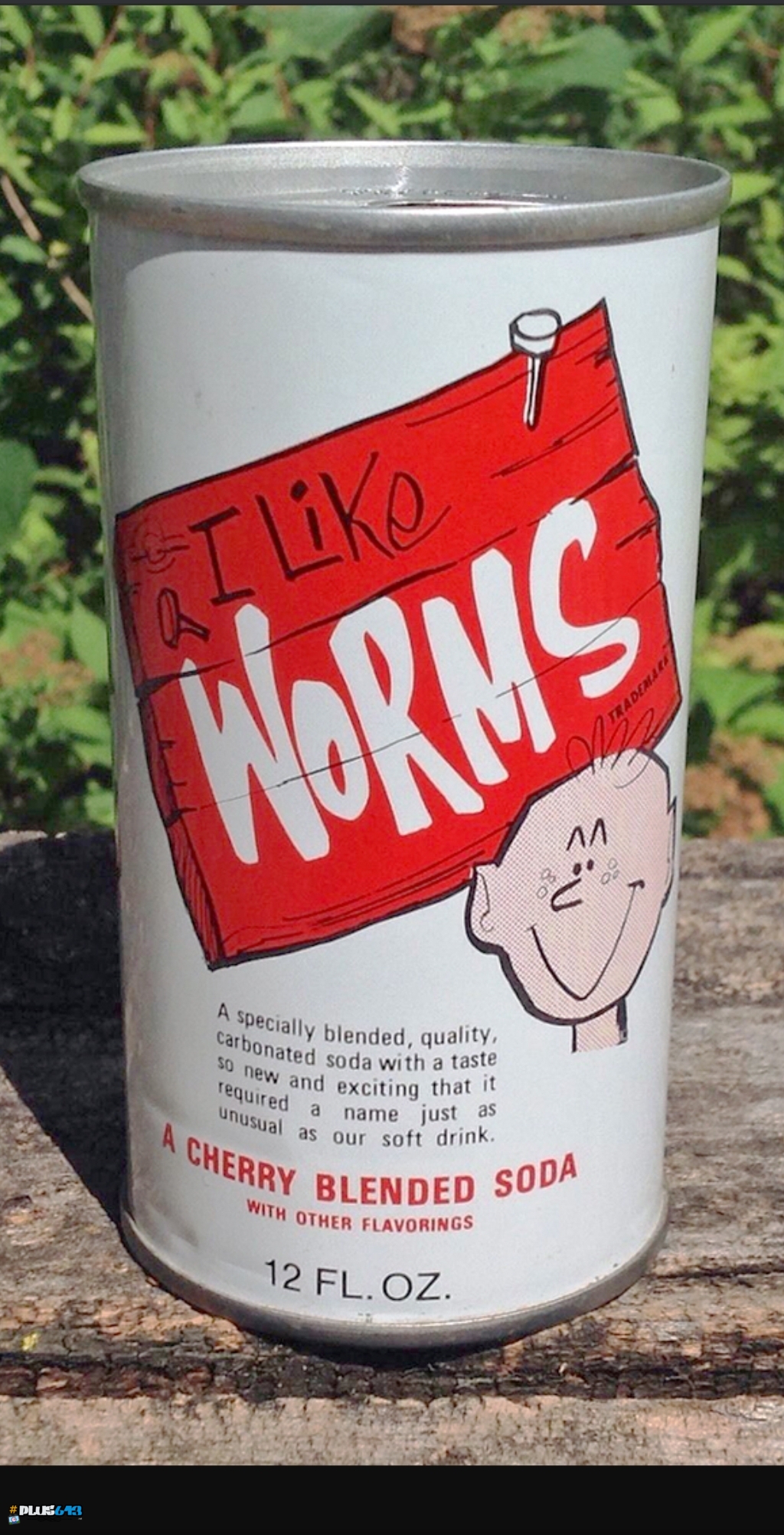 I drank worms when I was a kid