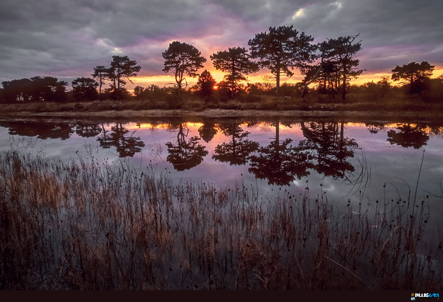 Reflections by Juergen M Zeidler