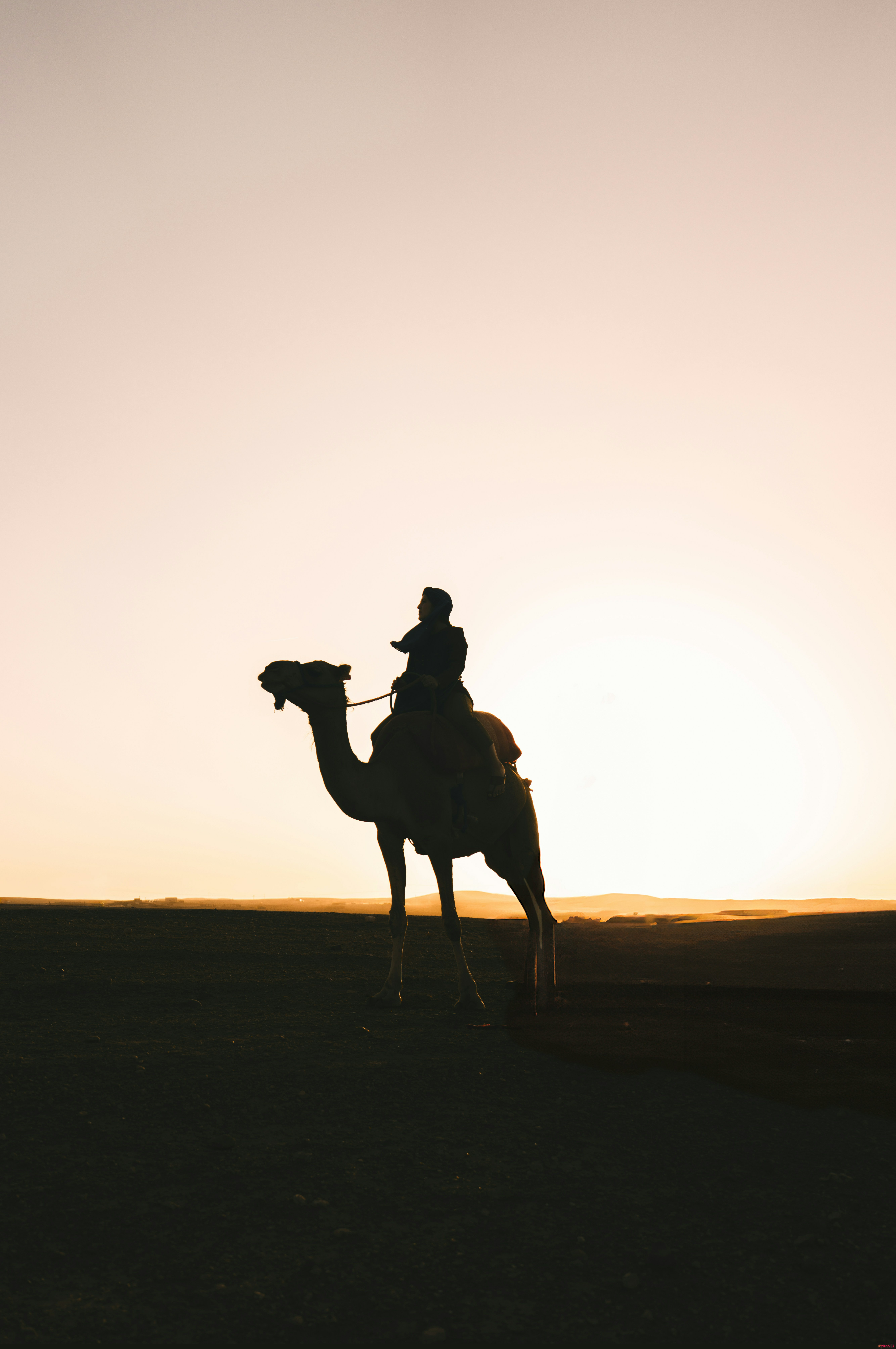 Silhouette of a person riding a camel at sunset by Peter Thomas