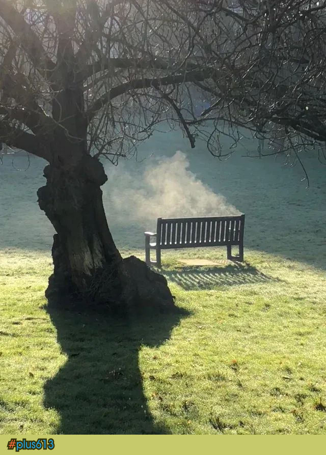 Vampire caught out at sunrise