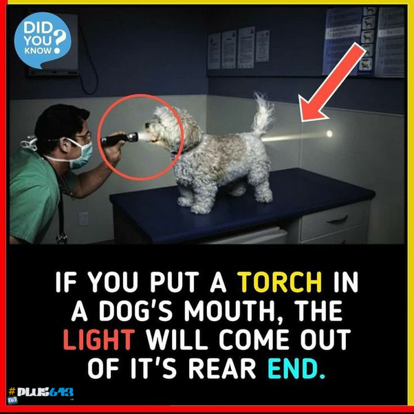 I tried it, it works!