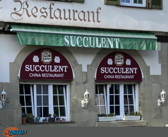Succulent Chinese meal