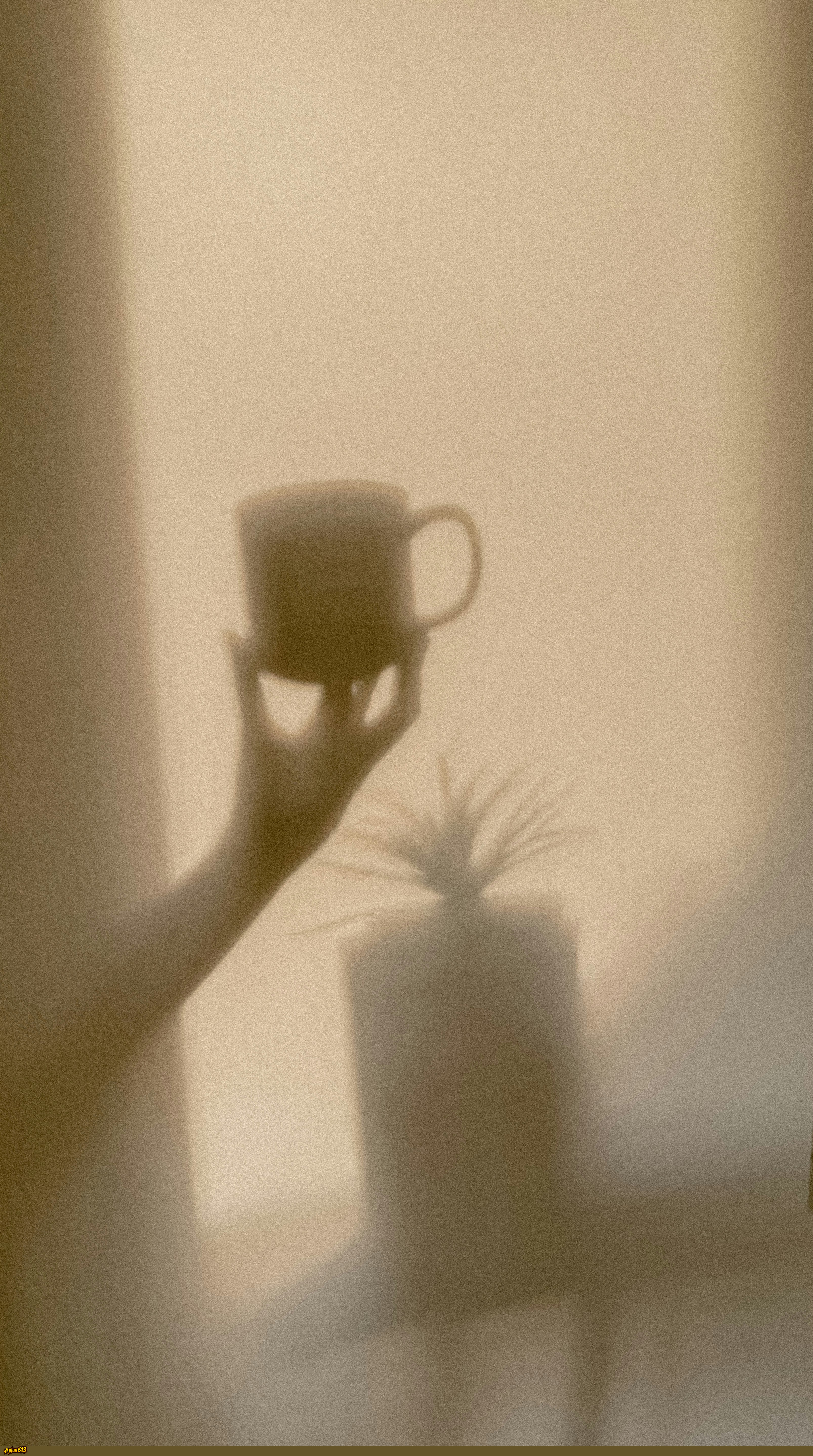 Warm shadows of a hand, mug, and potted plant by Elisa Photography