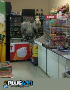 shoplifting alarm