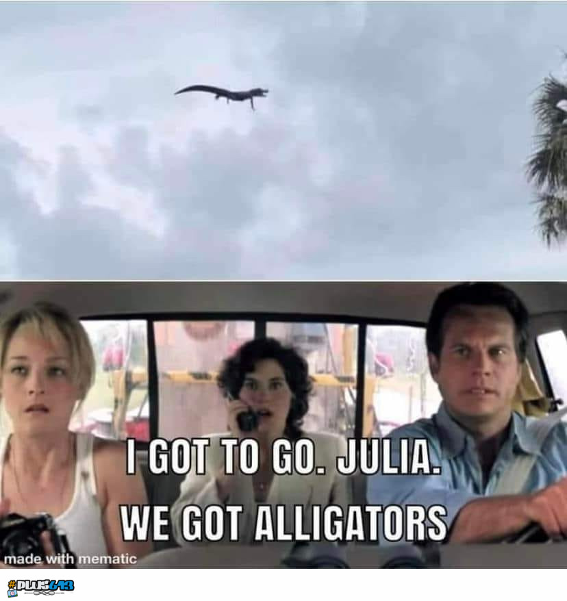 Florida twister