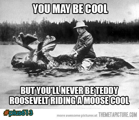 Never as cool as Teddy