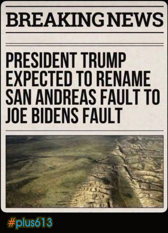 so not bush then