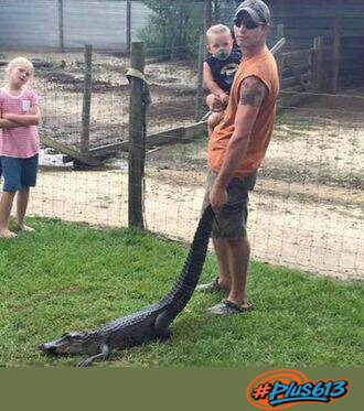 Proper handling 