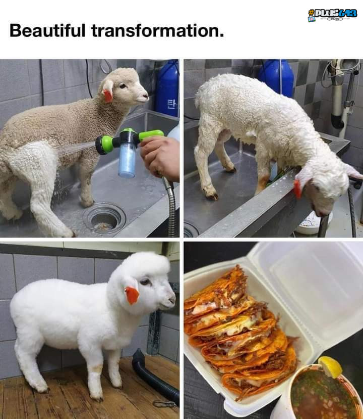 Beautiful transformation 