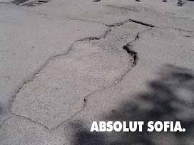 my funny picture collection absolut sofia