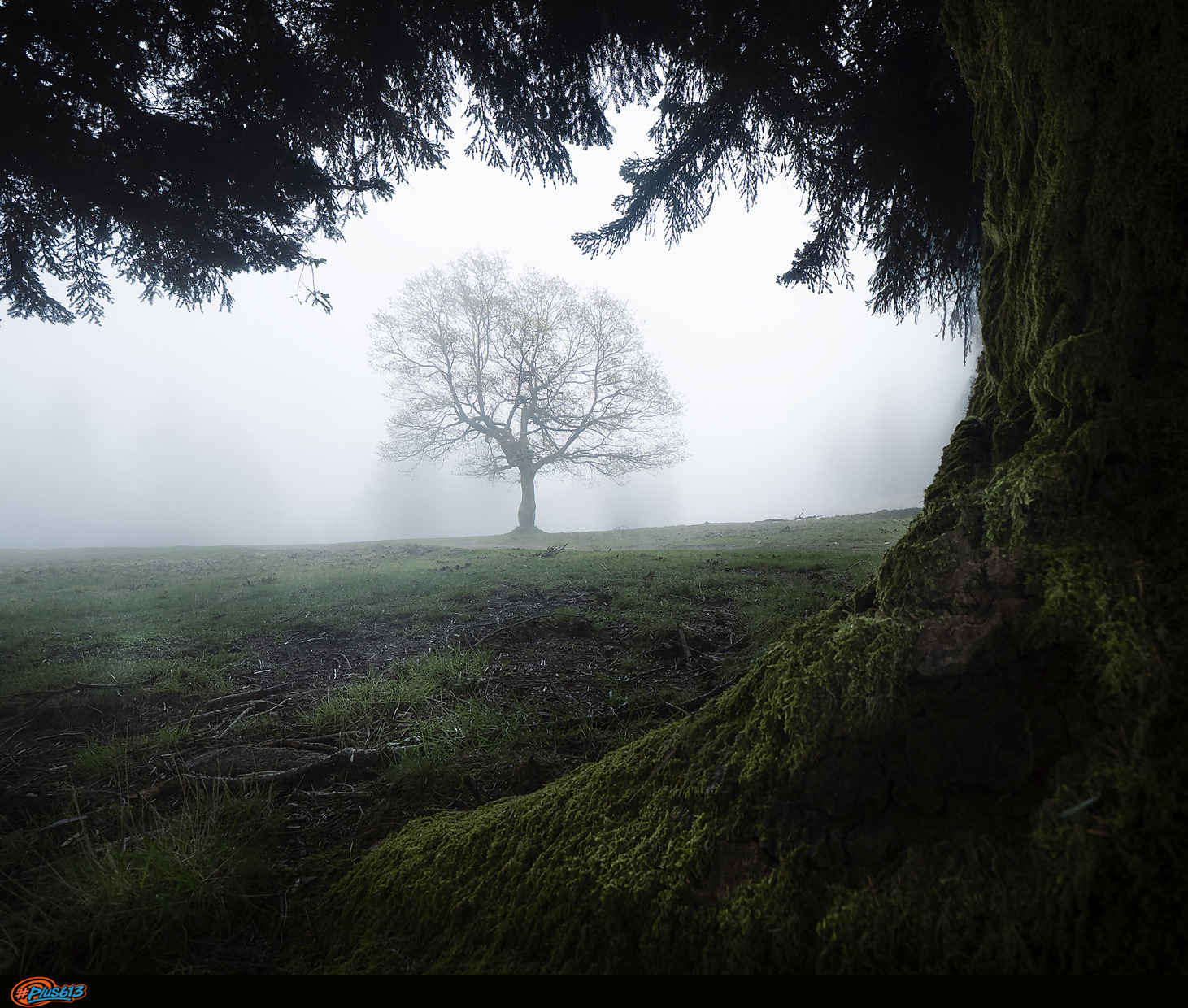 Alone by Tiago Marques