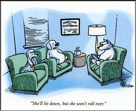 DOGS MARRIAGE COUNSELOR