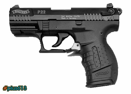 New Gun Walther P22 (plinker)