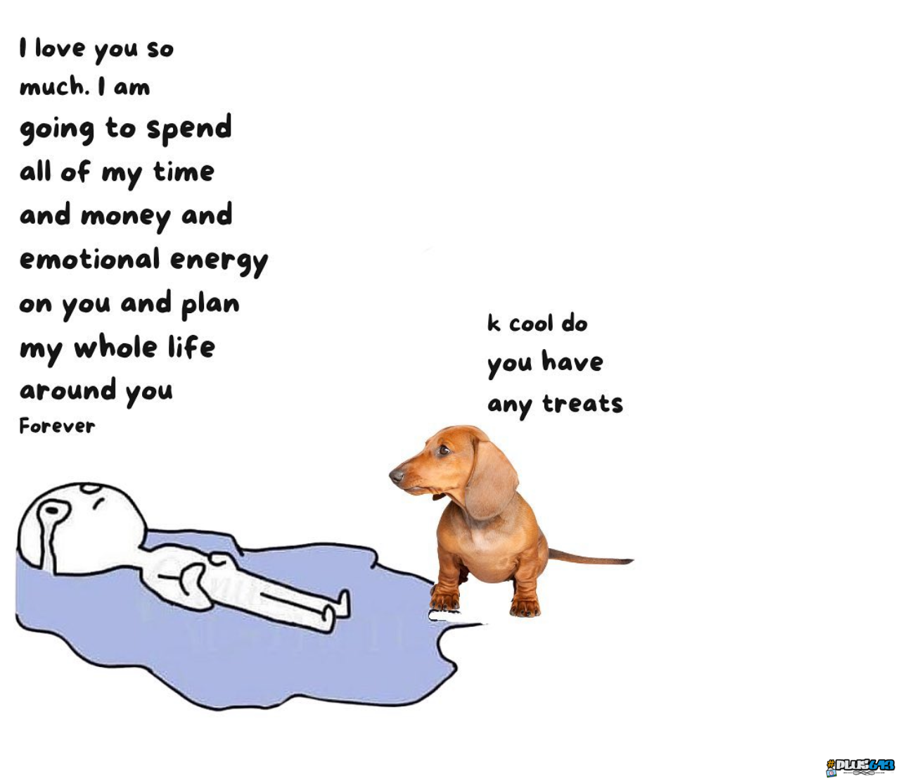 dogs gonna dog 
