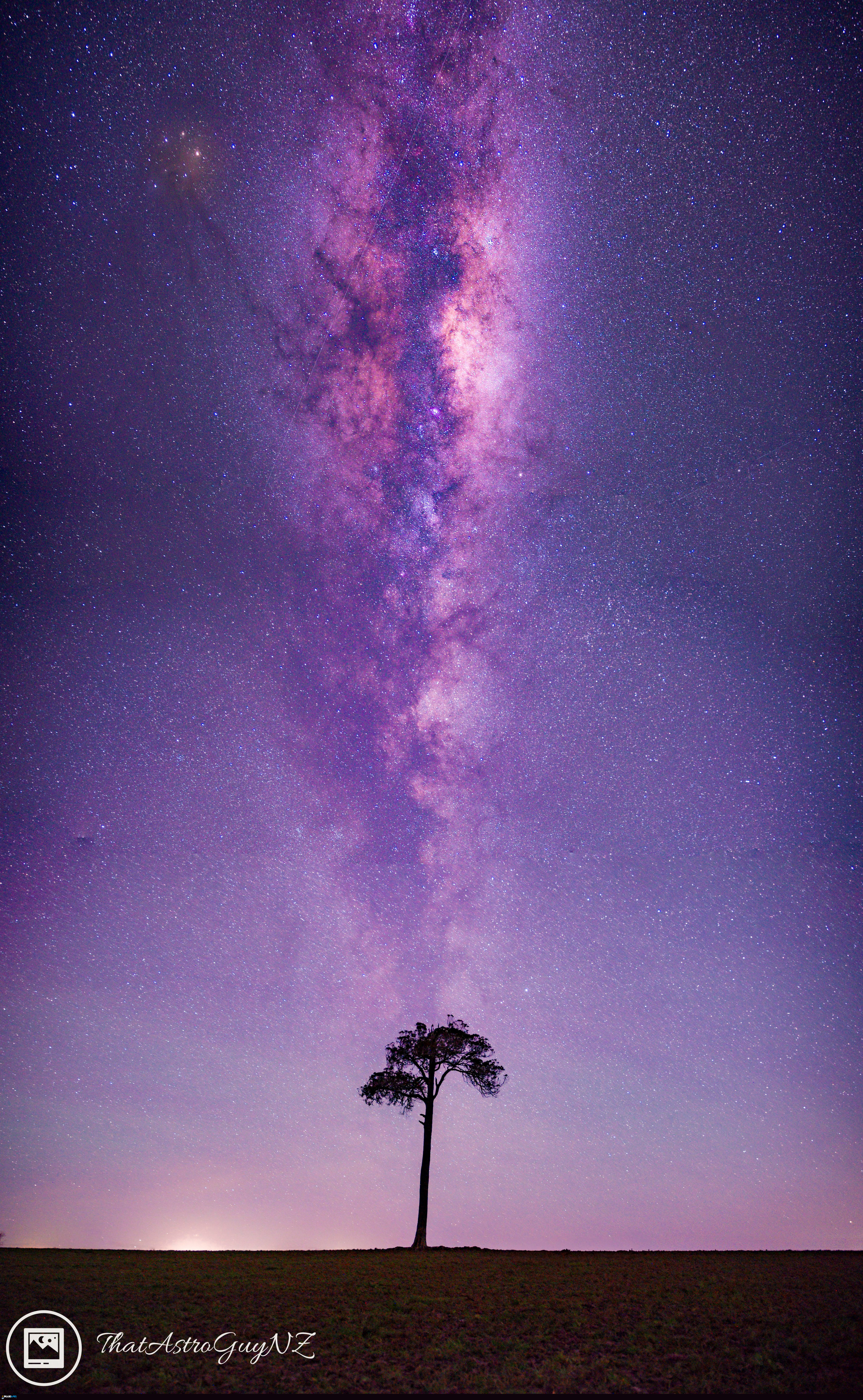 Galaxy tree