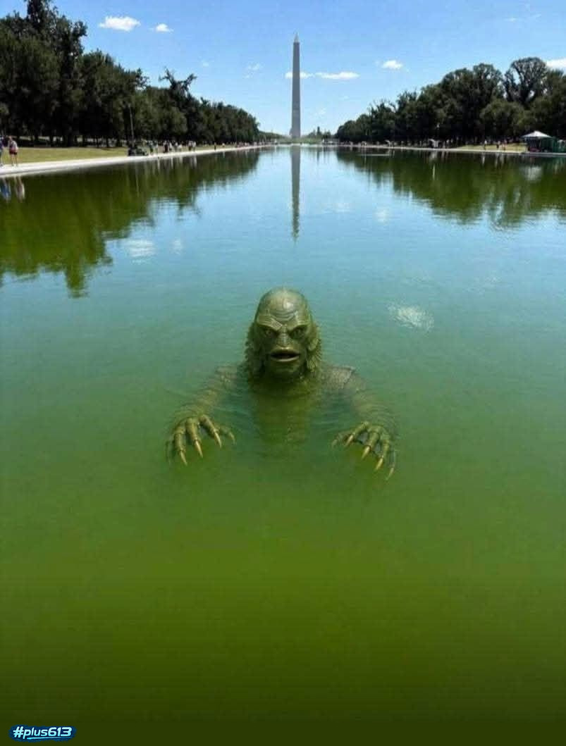 Trump's new Secretary of the Interior