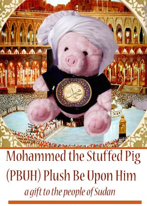 Mohammed the stuffed pig