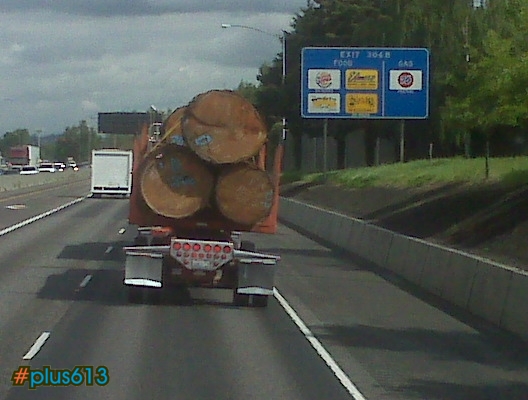 big logs