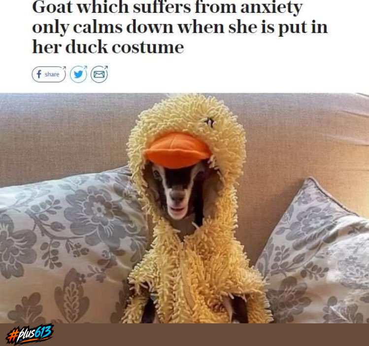 give me a break