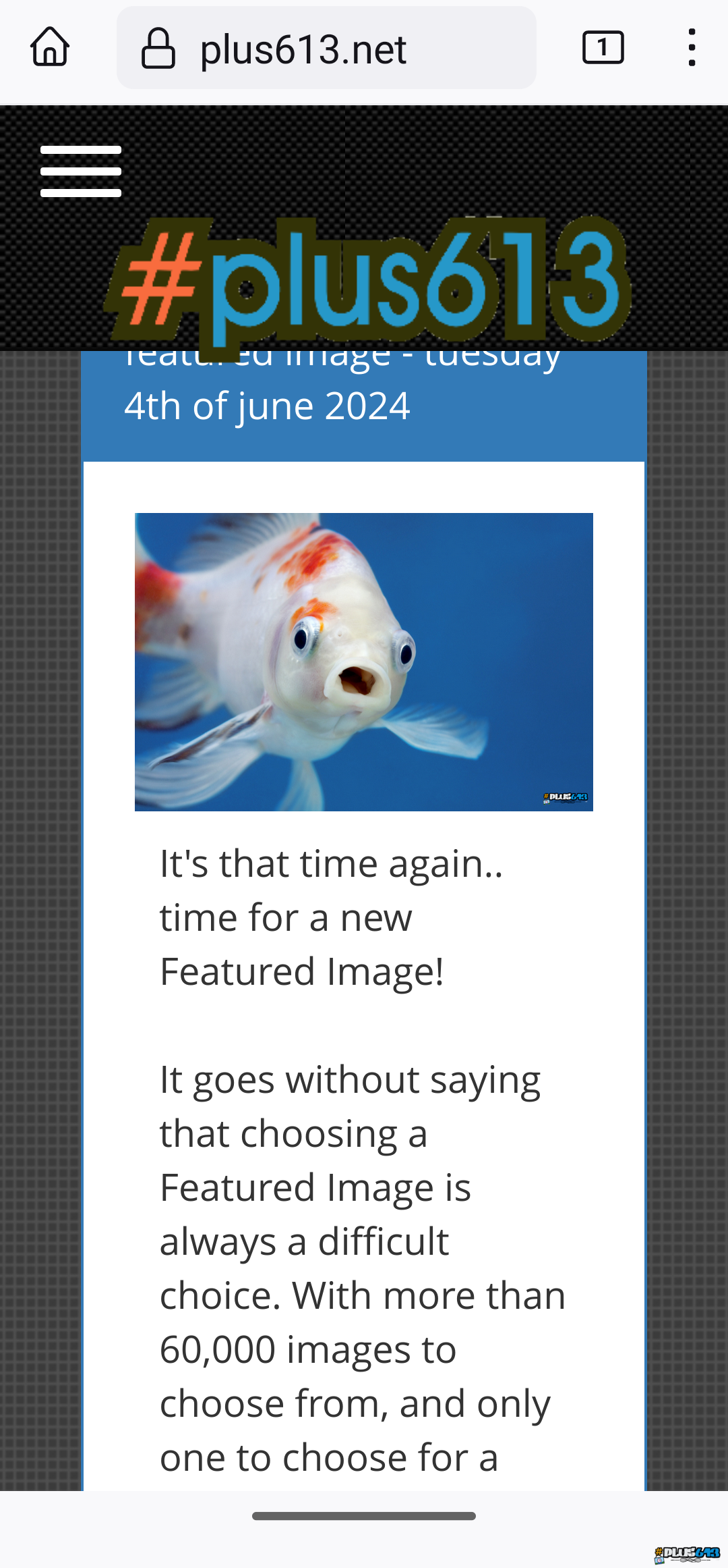 home page for pulse