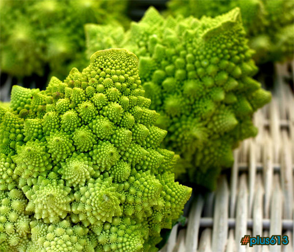 Broccoflower fractals
