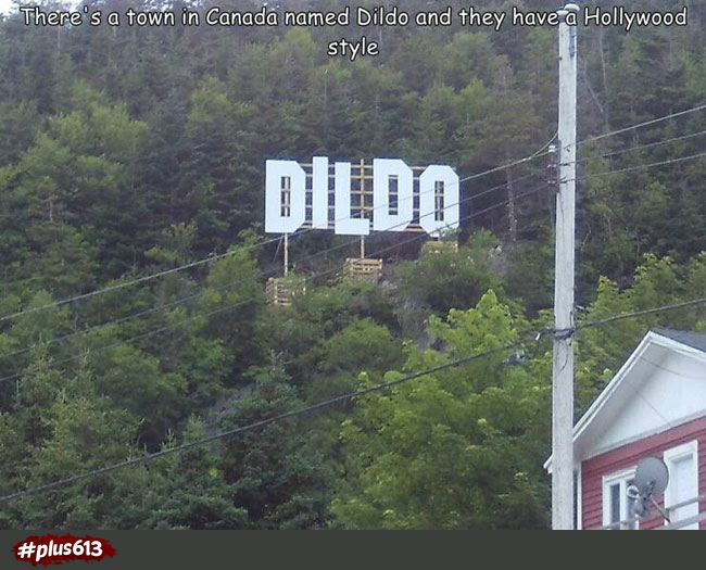 Dildo!