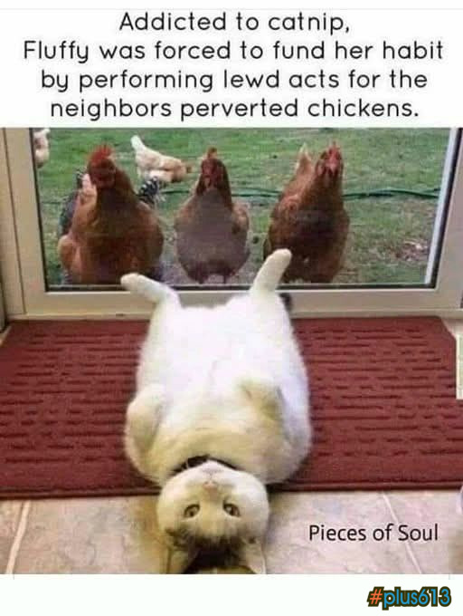 Hardcore pussy