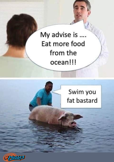 Swim you fat bastard