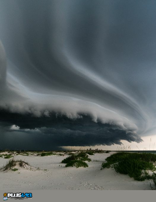 Florida shelf cloud