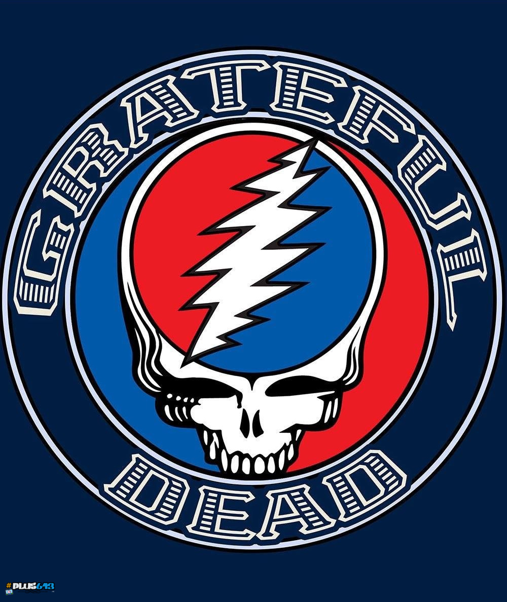 plus613 - culture in the blender - Steal Your Face Logo