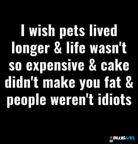 It's all true