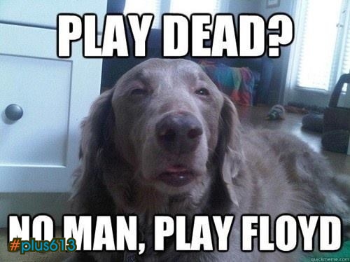 Play Floyd