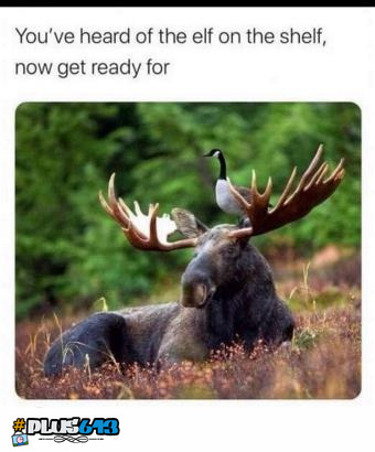 not as good as goat in a moat