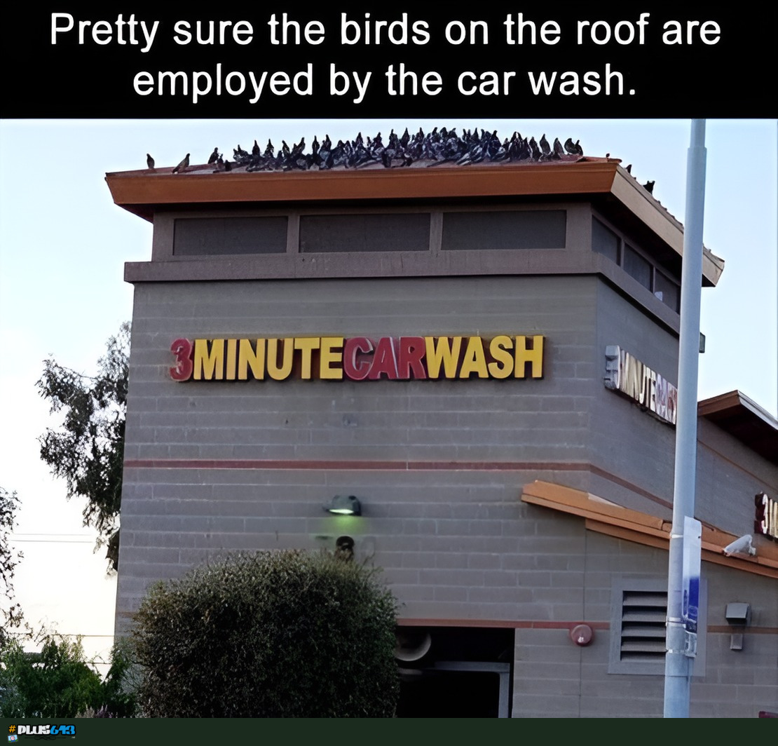Business model