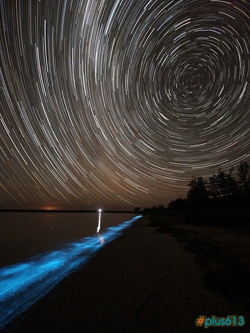 Bioluminescent Lake